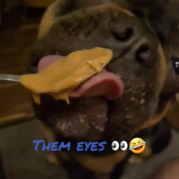 Kenzo slow motion AMSR