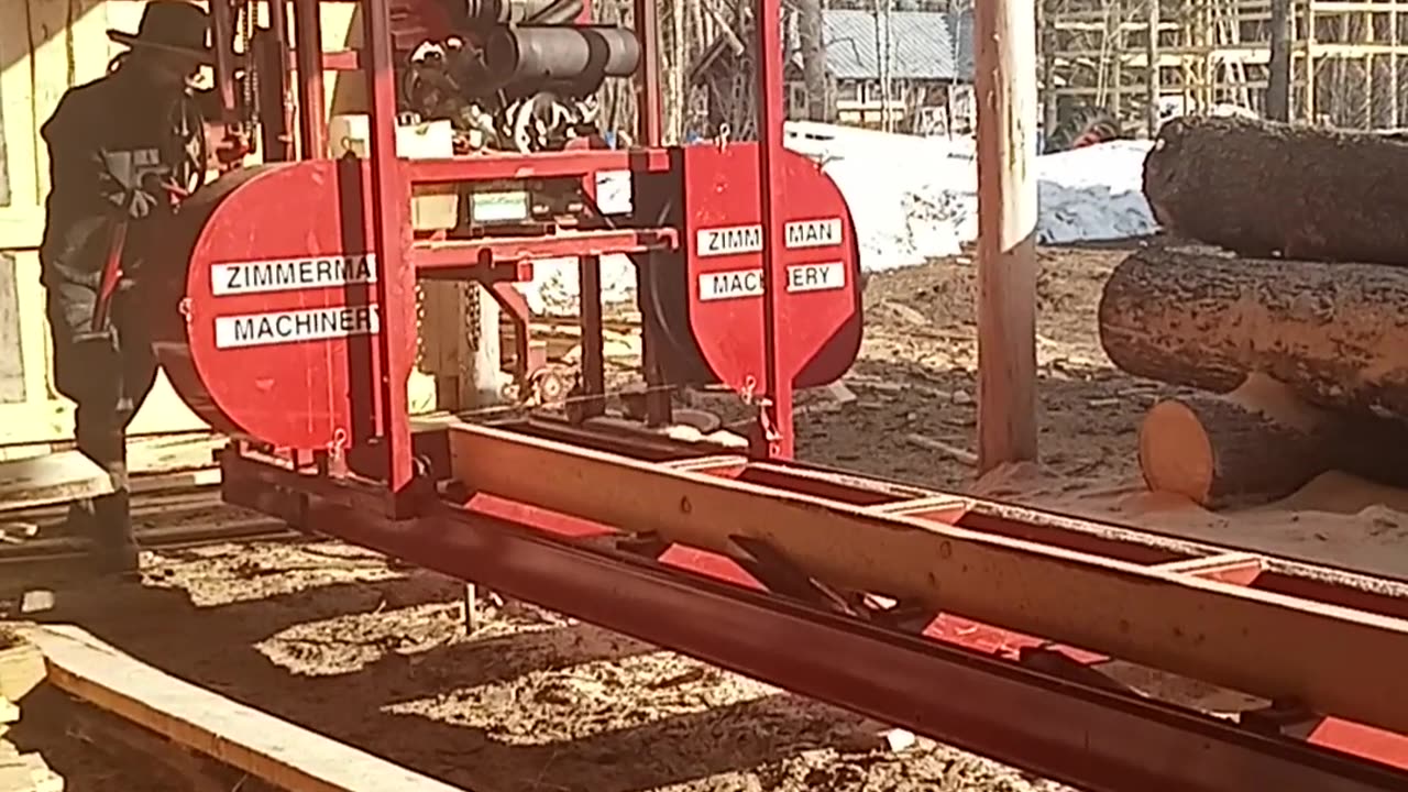 Edging pine boards on the sawmill