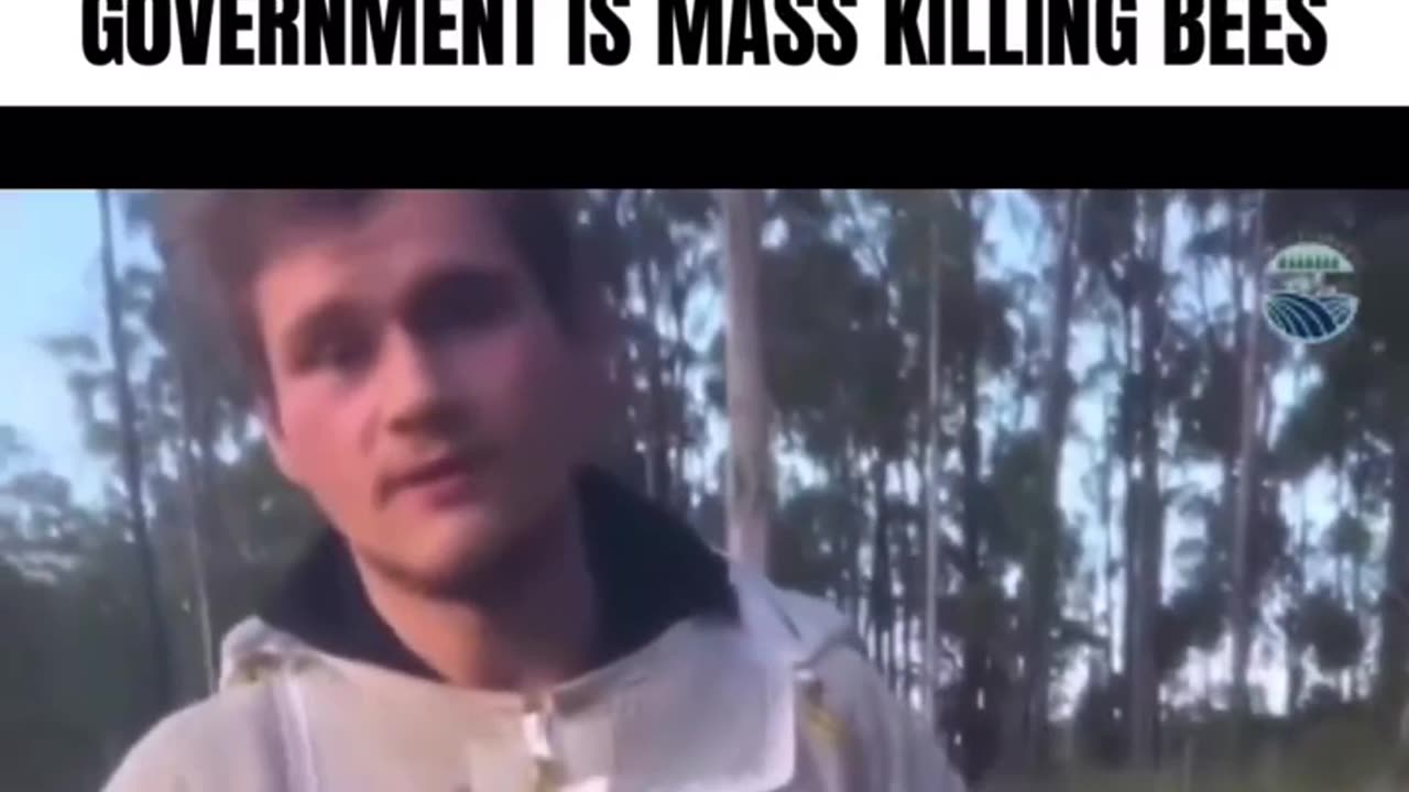 Beekeeper Whistleblower Drop Some Information About The Government