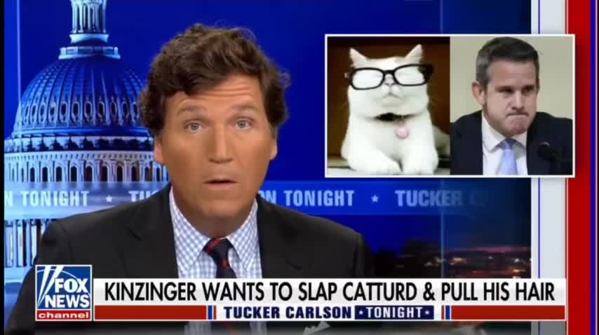 CATTURD MADE IT ON TUCKER!!!😂😂😂