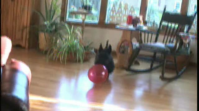 2004 Tavish and His Balloon