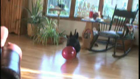 2004 Tavish and His Balloon