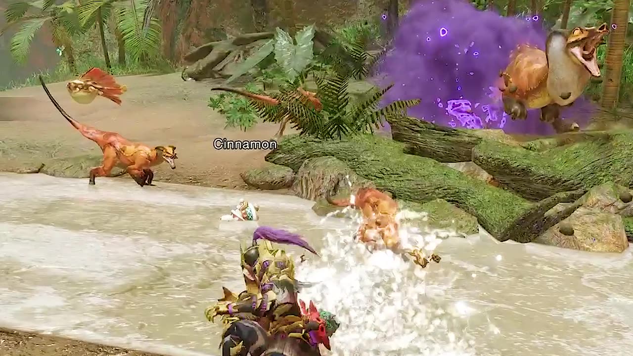 What NOT to do in Monster Hunter Rise