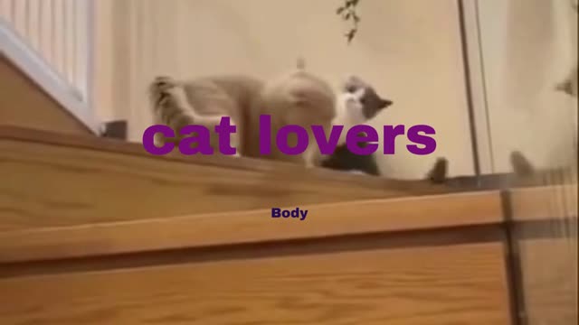 cat lovers