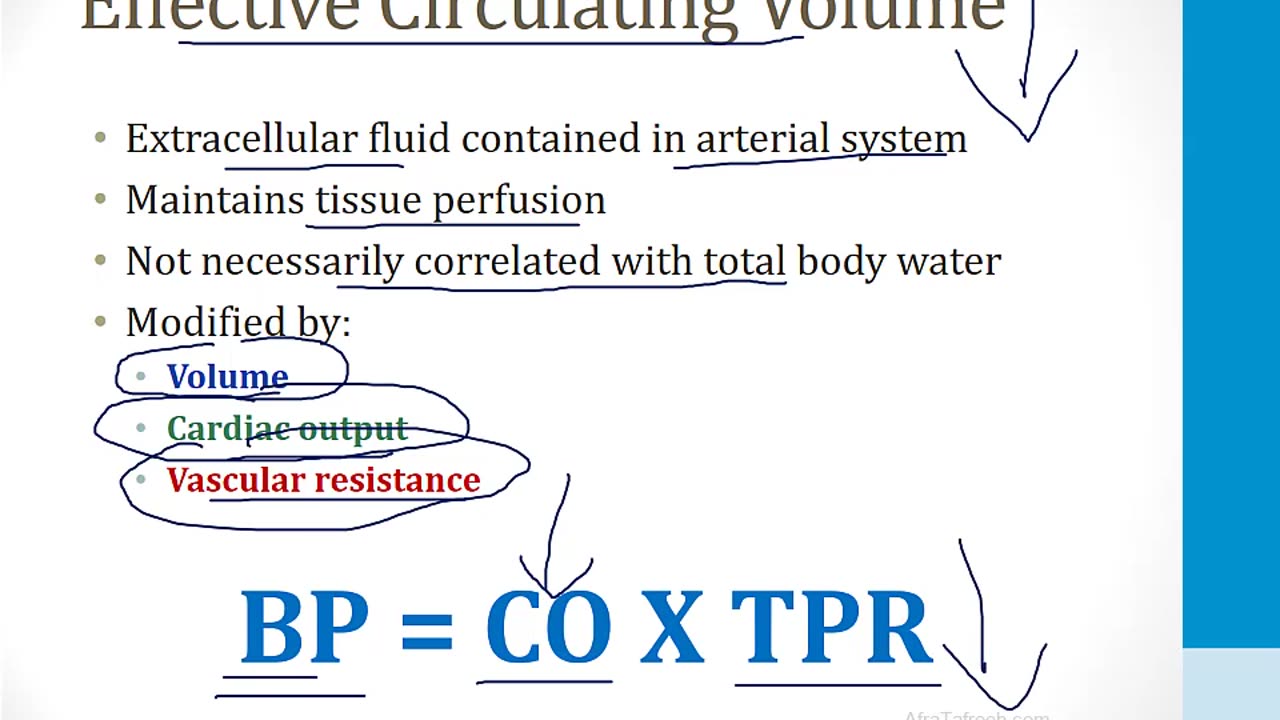 Renal - 1. Embryology, Anatomy and Physiology - 3.Renal Physiology I