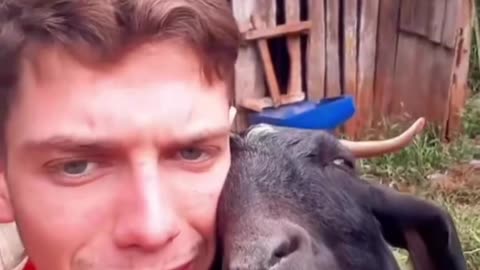 A boy singing for a cute goat