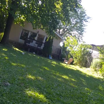 Flowers backyard enjoying beautiful weather