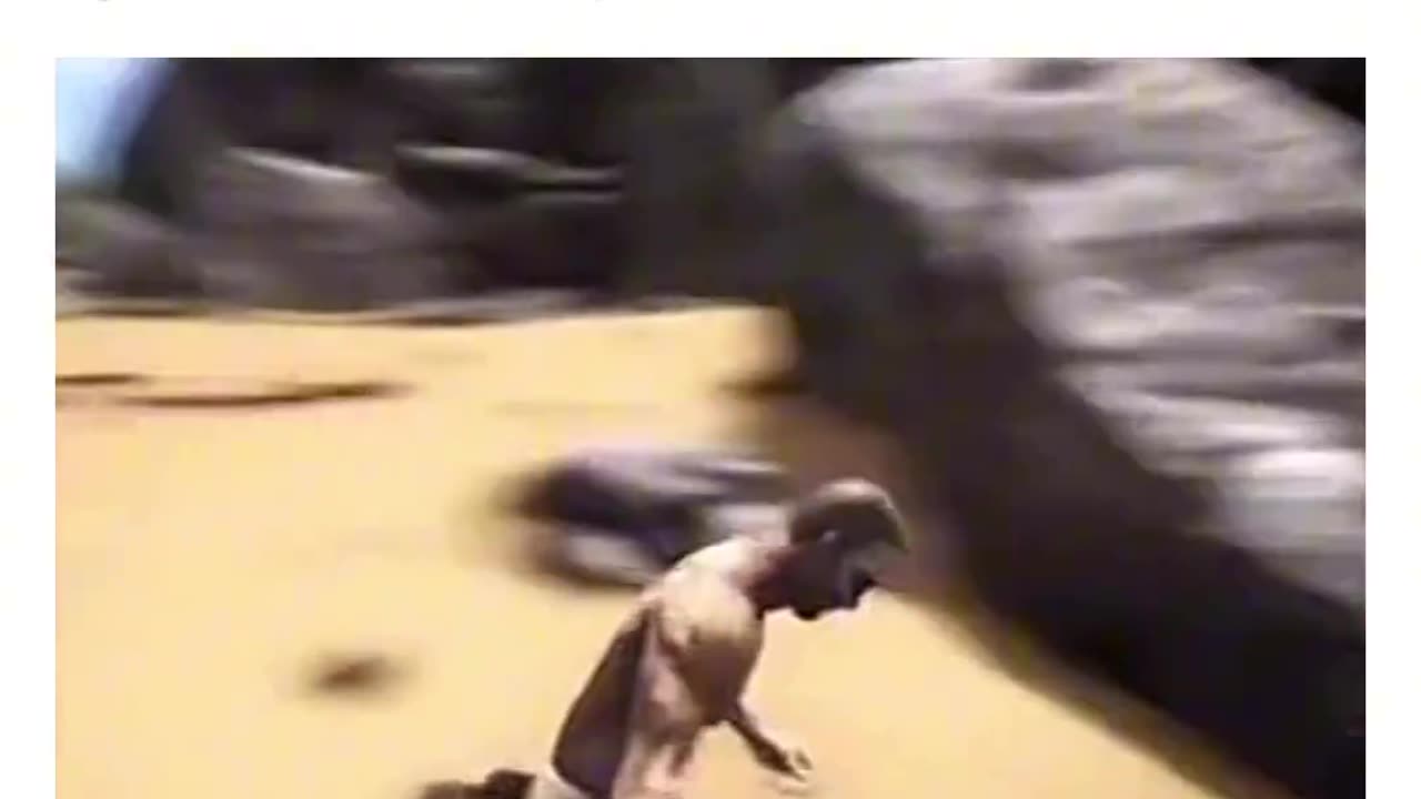 memes I found the internet part 1