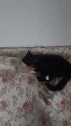 Diamond Boy Was Being Bad