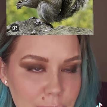 Predator Squirrels 🐿️