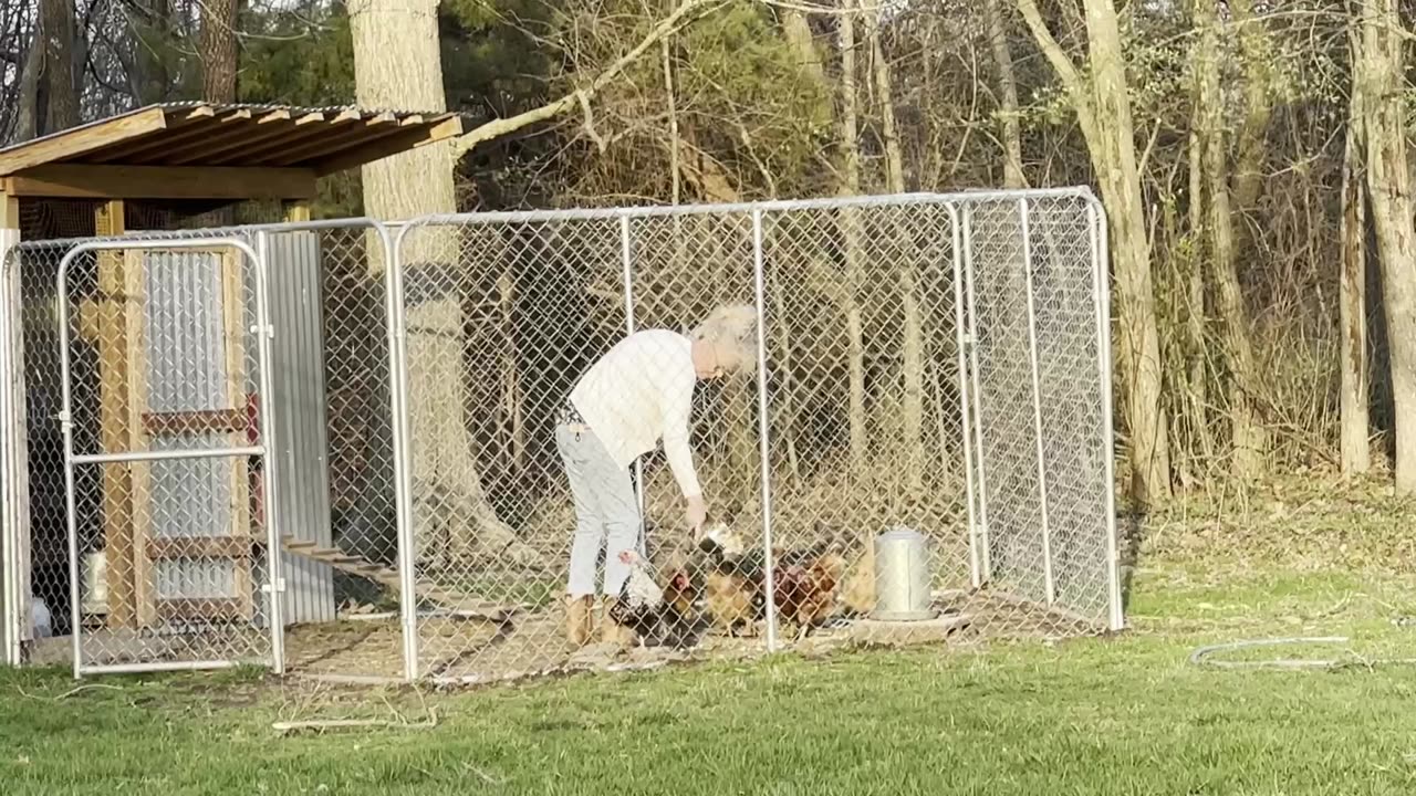 Vicki with the Chicks