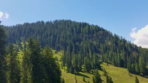 A recreational trip to northern area of Pakistan