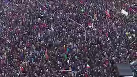 German Farmer Protest