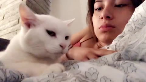 Woman Gives Her Cat Kisses But The Cat Doesn't Like It