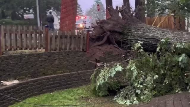 Tree Falls on House During Wind Storm