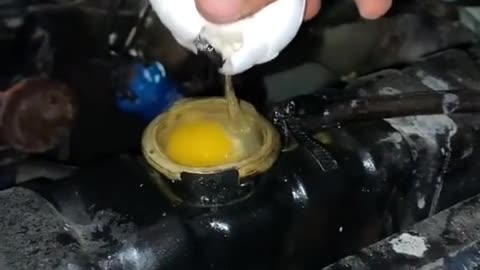 What's the use of an egg?