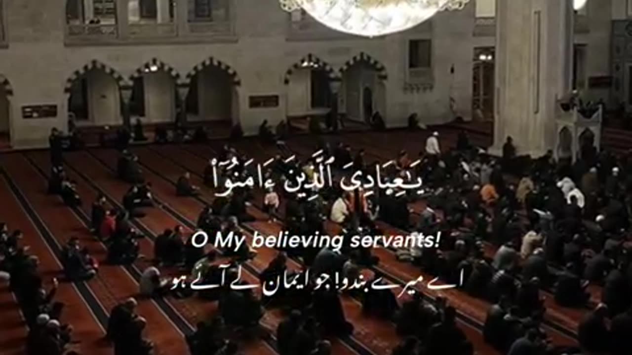 Surah Al-Ankabut relaxing recitation by Abdul Rahman mossad #quran #translation #subtitles #english