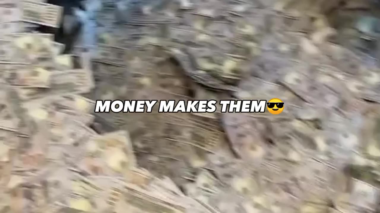 MONEY MAKE