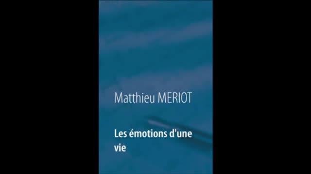 Les émotions d'une vie - Matthieu Meriot