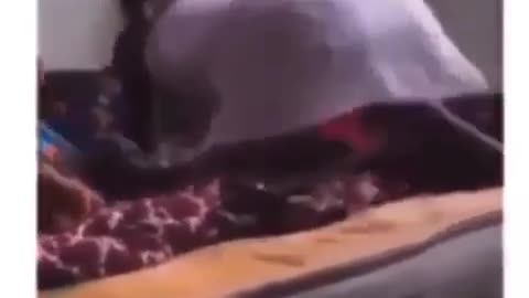 Funny Twerking