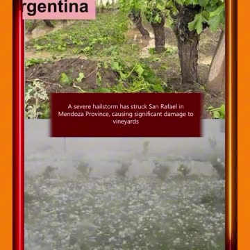 🚨 WHAT'S GOING ON IN THE WORLD, 02.11.2024!