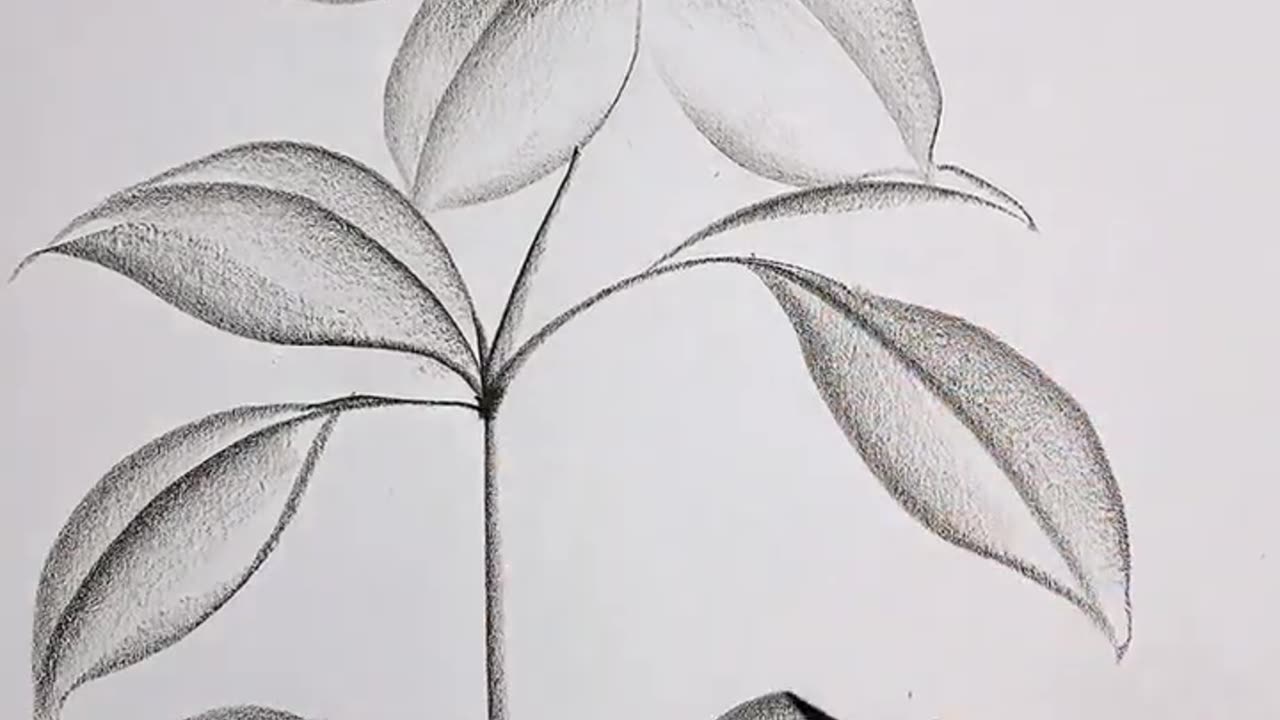 How to make flower with pencil art