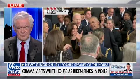 Gingrich RIPS Biden