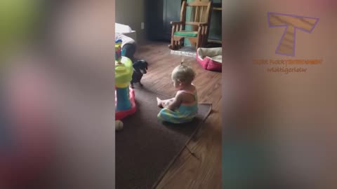 FUN CHALLENGE: Try NOT to laugh - Funny & cute dogs and kids