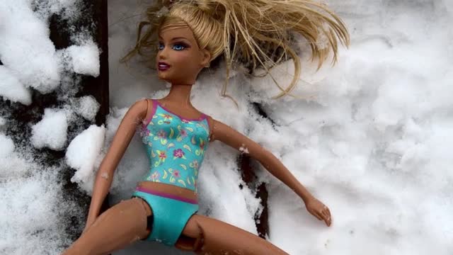 Want to be a Barbie