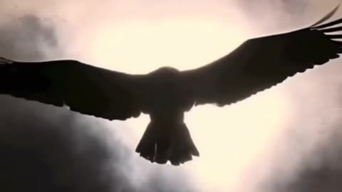 YE X TY - VULTURES (Havoc Version) (VIDEO)