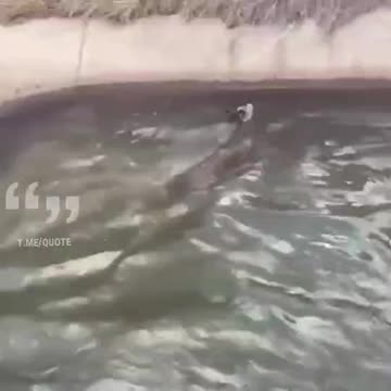 Anti-Loosh Video Number 200. LOOSH is real and bad. Explained below and watch the video