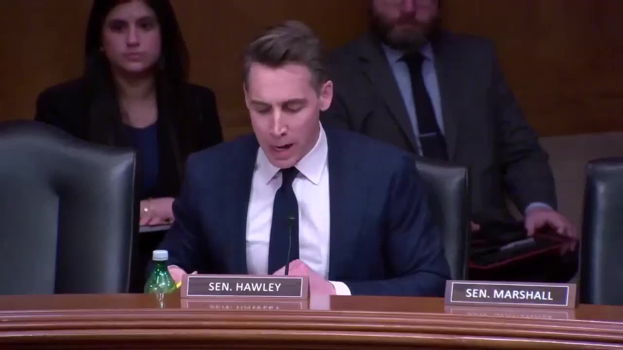 🚨This Must Stop Now: McKinsey CEO Loses His Cool As Sen. Hawley EXPOSES His Dual Role