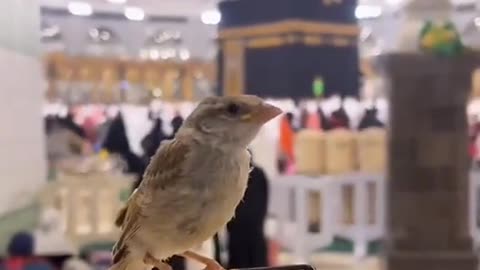 MashaAllah ❤️