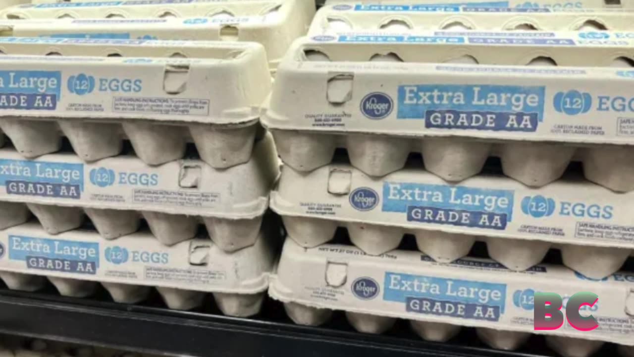 US Egg Shortage Could Get Worse as Holiday Season Approaches