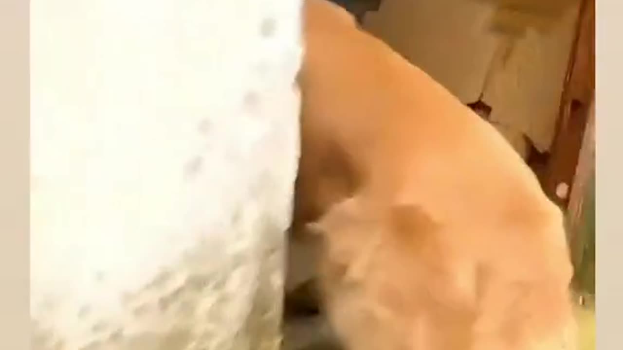 Funny