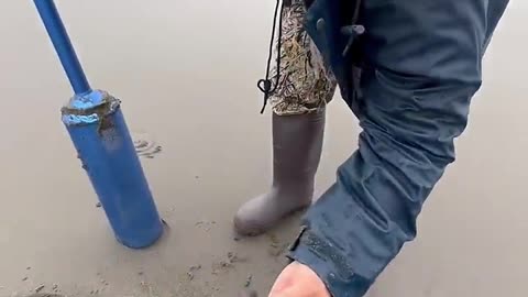 HUGE RAZOR CLAM HOLES