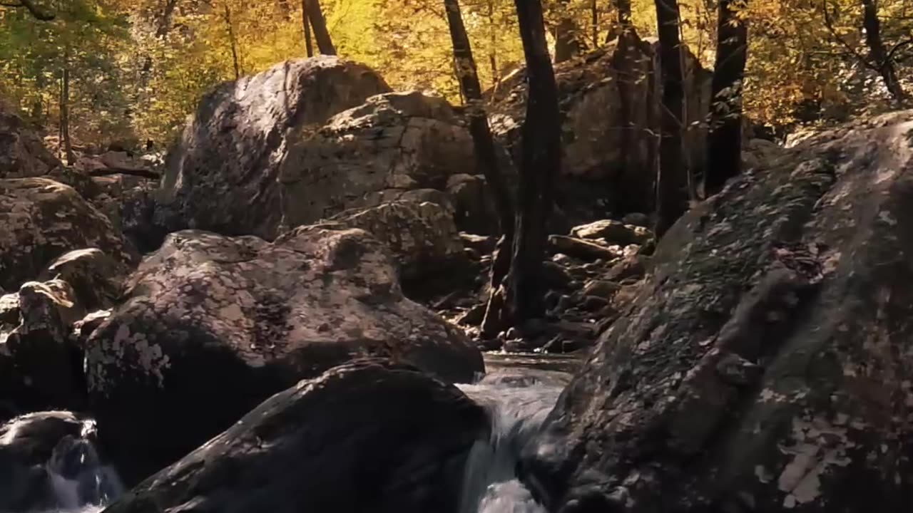 A Rocky River In The Forest #viral#shorts#trending#status#ytshorts#beautiful