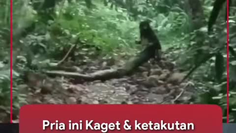 HALF HUMAN HALF SNAKE