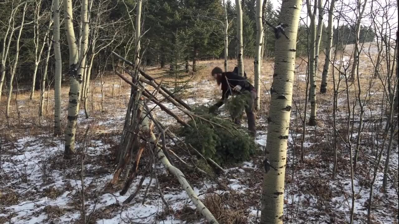 Solo Bushcraft Overnighter - Natural Shelter