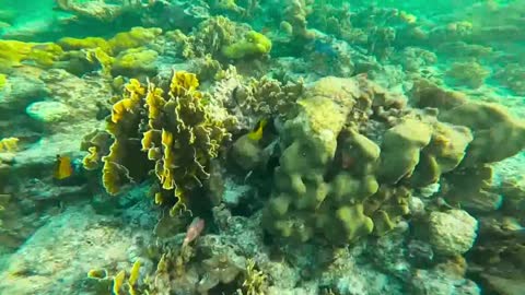 Arquipélago de Los Roques - Venezuela