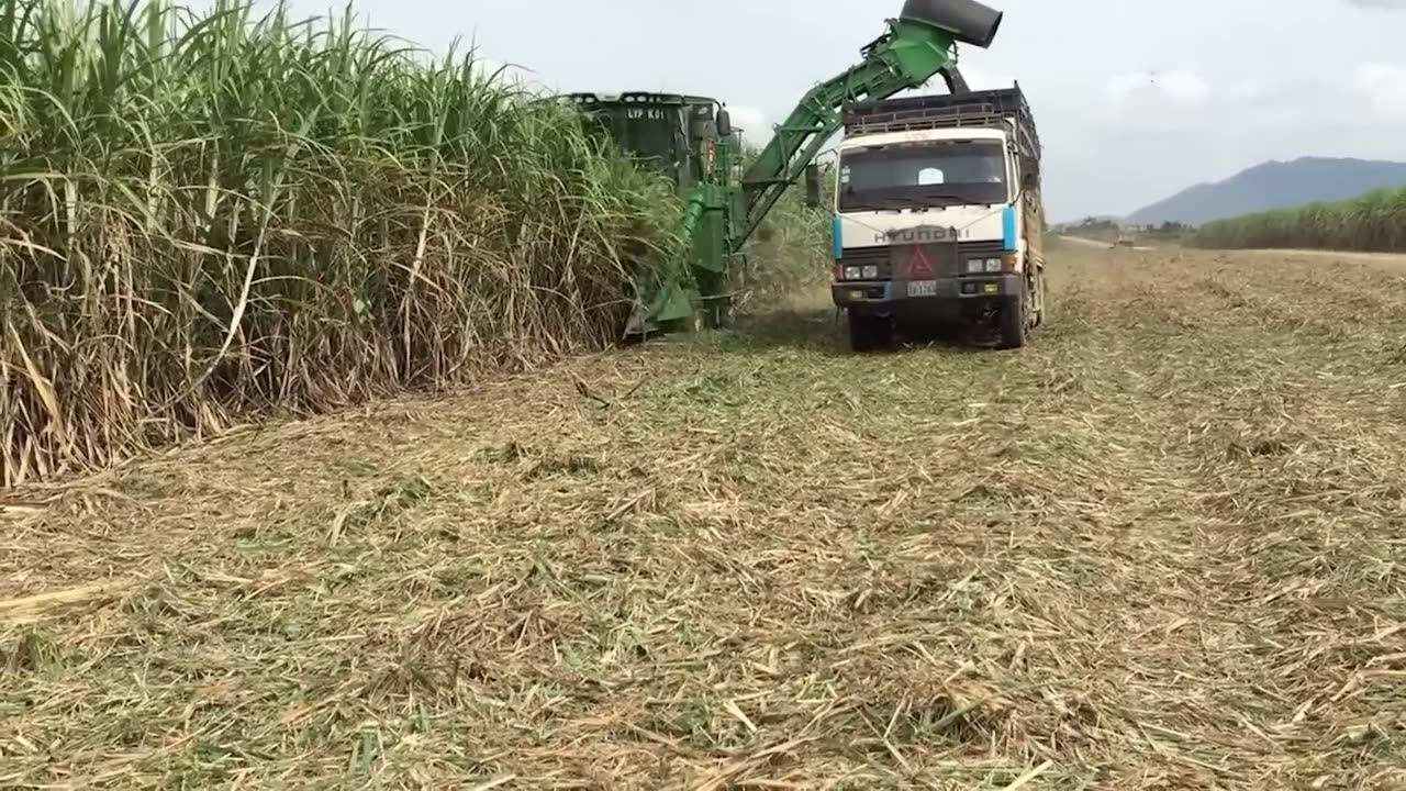 Modern Technology Agriculture Huge Machines