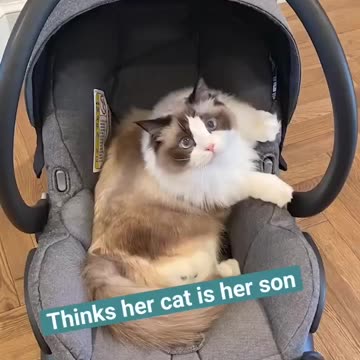 TAYLOR SWIFT-Join Mt #TSAntiHeroChallenge