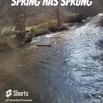 Spring Has Sprung In BC.