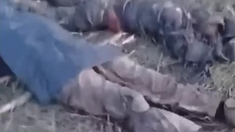 War in ukraine Donetsk