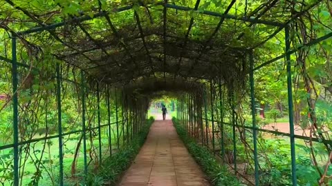 Beautiful Delhi! 💚🌸😍🫶🏻📸 | Exploring Unseen Delhi | #delhi #shorts #viral #explore