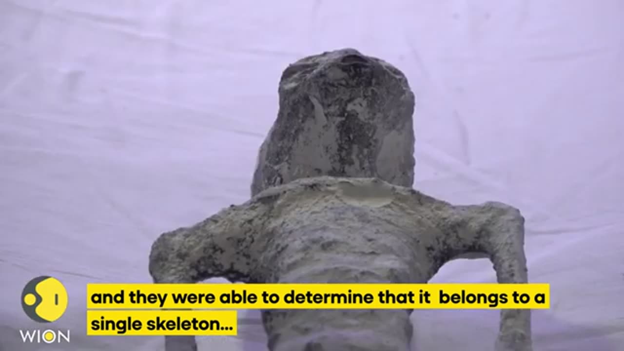 Mexican UFO expert conducts x-rays on 'non-human'