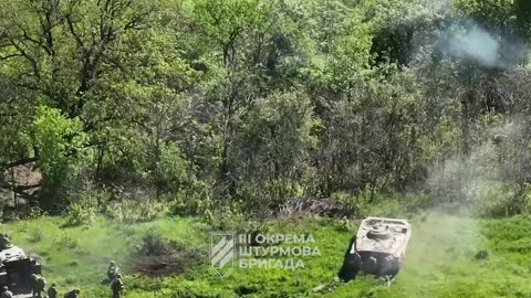 Ukrainian Assault Brigade Chases Russians into the Woods