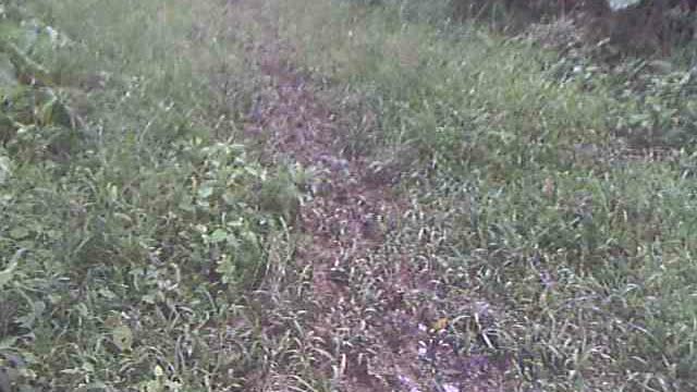 Leaving Petroglyphs through San Antonio jungle