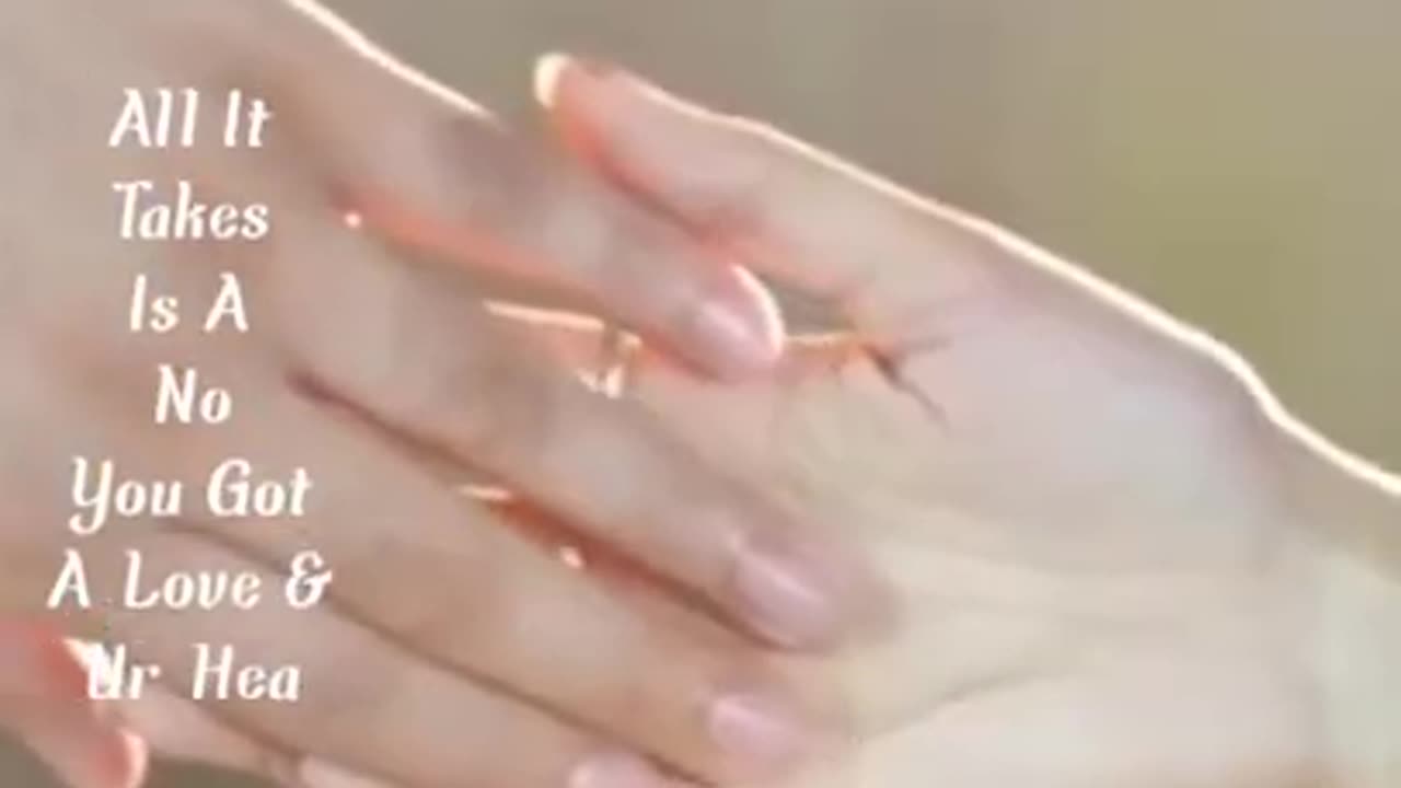 Fall in love song