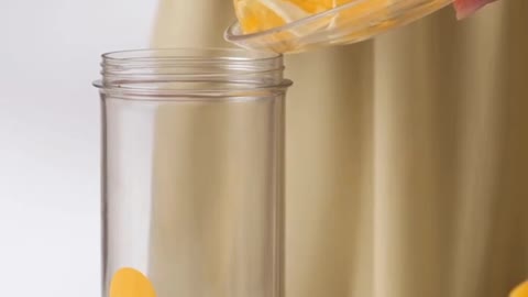 Portable juicer